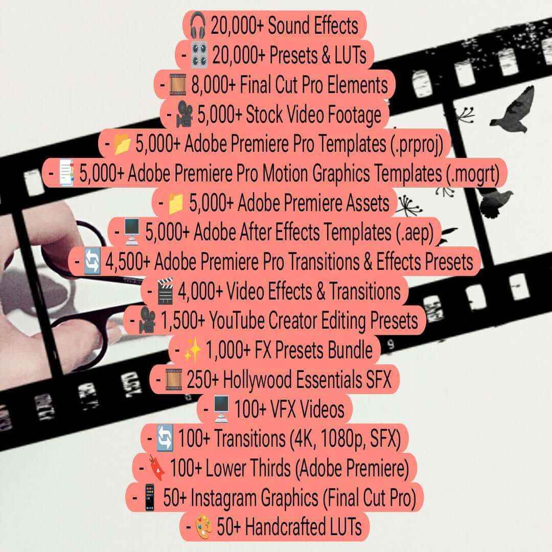 Video Editing All-In-One Assets Bundle - TheWanderWords