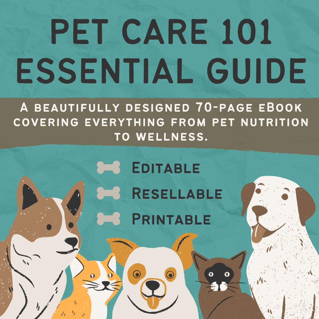 Pet Care 101 Essential Guide